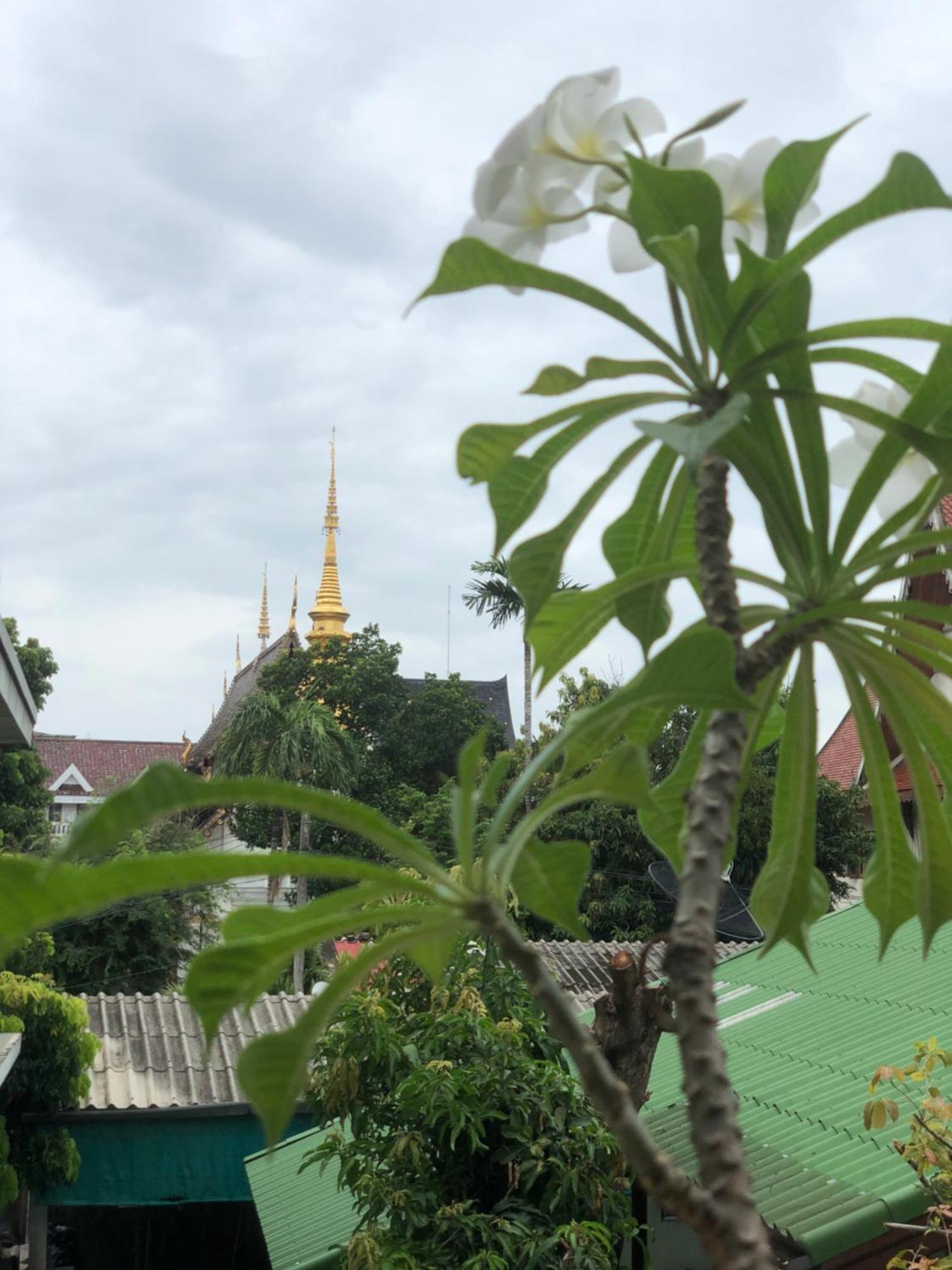 Hotel Thongran'S House Chiang Mai Exterior foto